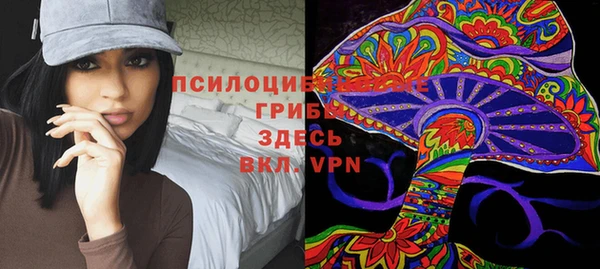 МДПВ Горняк