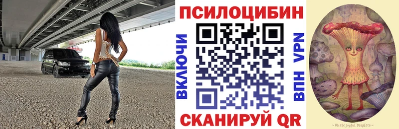 Псилоцибиновые грибы Psilocybe  Купить  Энем 